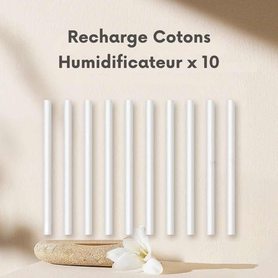 Recharges Coton pour Humidificateur — Lot de 10 ou 20